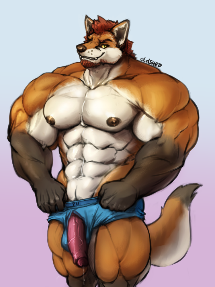 anthro beard big_penis briefs bulge canine clothing facial_hair flaccid fox humanoid_penis looking_at_viewer male male_only mammal muscular muscular_male oldshep pecs penis penis_through_fly poking_out precum smile solo standing uncut underwear vein veiny_penis