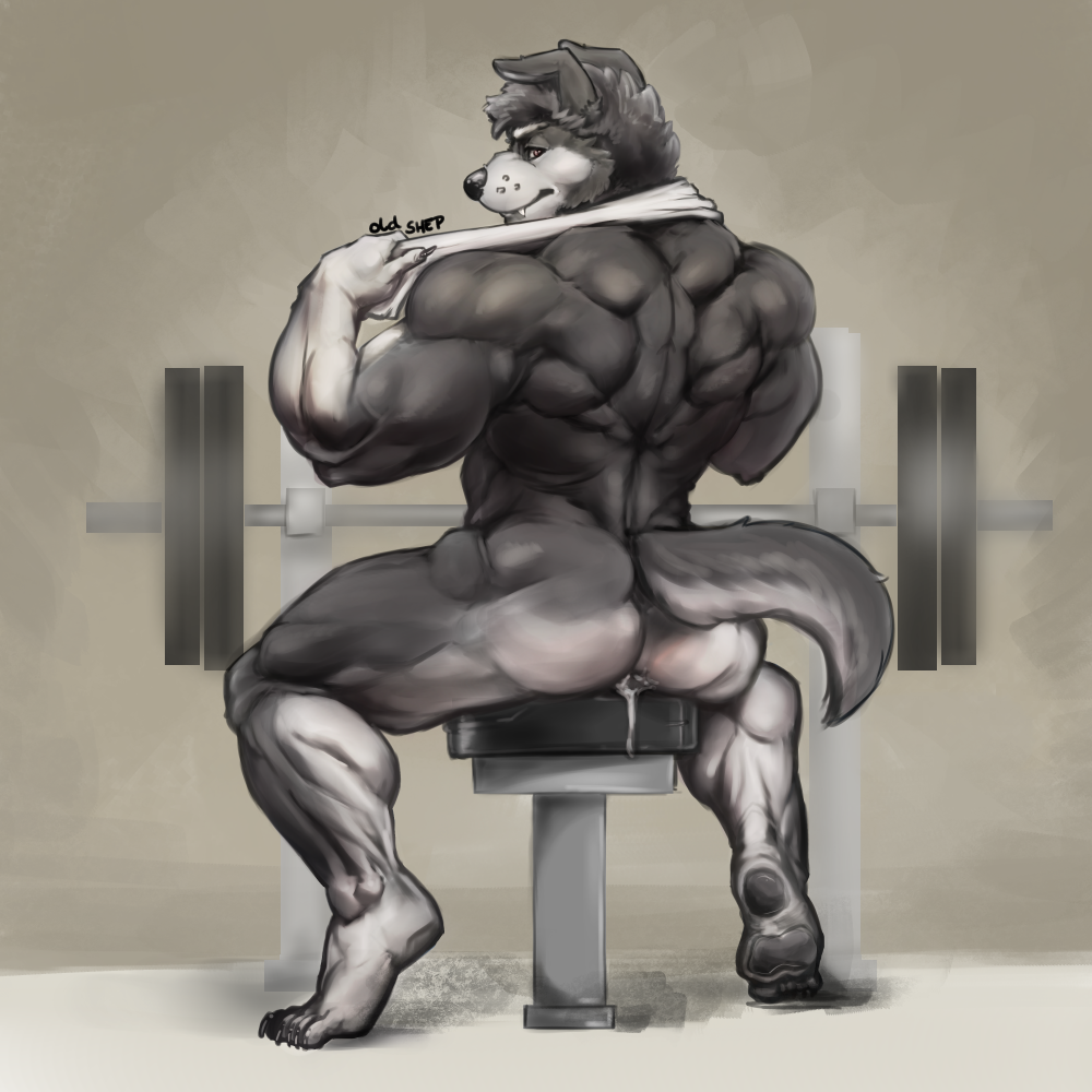 after_sex anthro ass canine cum cum_in_ass cum_inside cum_leaking gym looking_back male male_only mammal muscular muscular_male nude oldshep sitting solo towel