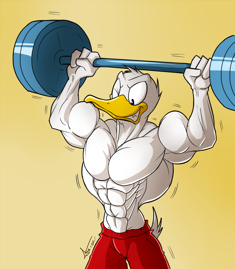 abs biceps bird disney donald_duck duck male male_only mctaylis muscles muscular muscular_arms muscular_legs muscular_male muscular_thighs pecs weights