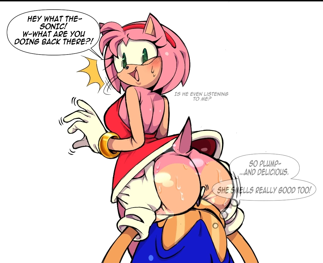 amy rose, animation sensation, ass worship, big ass, bubble butt, butt, butt focus, face in ass, sniffing, sniffing ass, sonic (series), sonic the hedgehog, sweat, sweating, sweaty, sweaty ass, tagme
