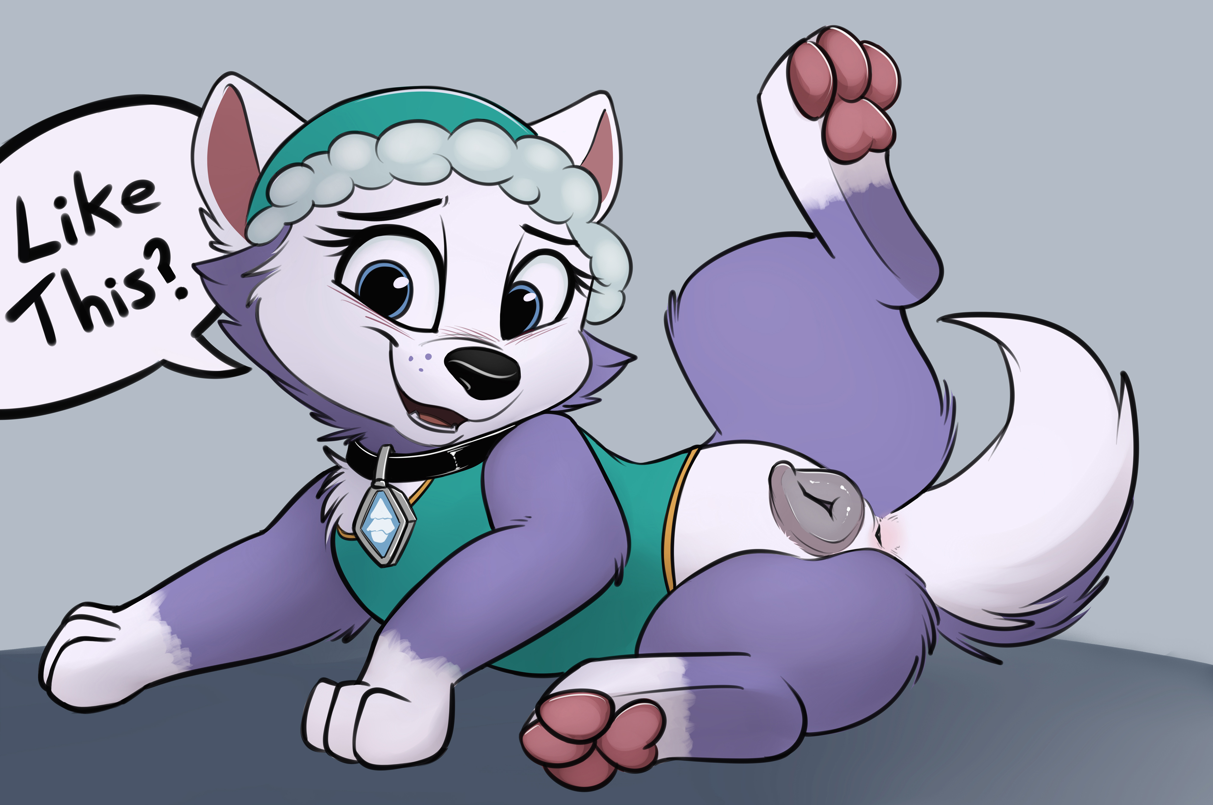 2018, anatomically correct, anatomically correct pussy, animal genitalia, animal pussy, bedroom eyes, black nose, blue eyes, blush, bottomless, canine, canine pussy, clothed, clothing, collar, dialogue, english text, everest (paw patrol), female, female only, feral, fluffy, fluffy tail, fur, furry, furry only, half-closed eyes, hat, highres, looking at viewer, lying, mammal, markings, multicolored tail, nickelodeon, on side, open mouth, paw patrol, pawpads, paws, pink pawpads, presenting, presenting pussy, purple fur, pussy, seductive, smitty g, snout, solo, speech bubble, spread legs, spreading, talking to viewer, teeth, text, toes, tongue