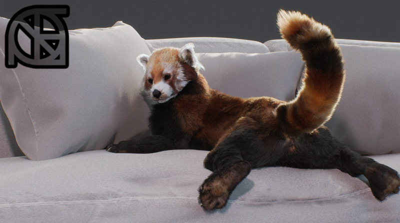 3d anatomically_correct anatomically_correct_pussy animal_genitalia anthro anus ass baijanthi black_fur black_nose cosmiclife feet female feral fur hi_res looking_at_viewer mammal multicolored_fur paws pinup pose pussy raised_tail red_fur red_panda semi-anthro sofa solo spread_legs spreading white_fur