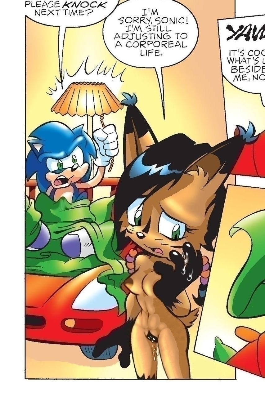 anthro black_nose breasts bulge caught clothing edit embarrassed feline female fur green_eyes hedgehog legwear lynx male mammal meow-meow multicolored_fur nicole_the_lynx nipples nude penis_outline pussy pussy_juice racecar_bed socks sonic_(series) sonic_the_hedgehog tagme two_tone_fur