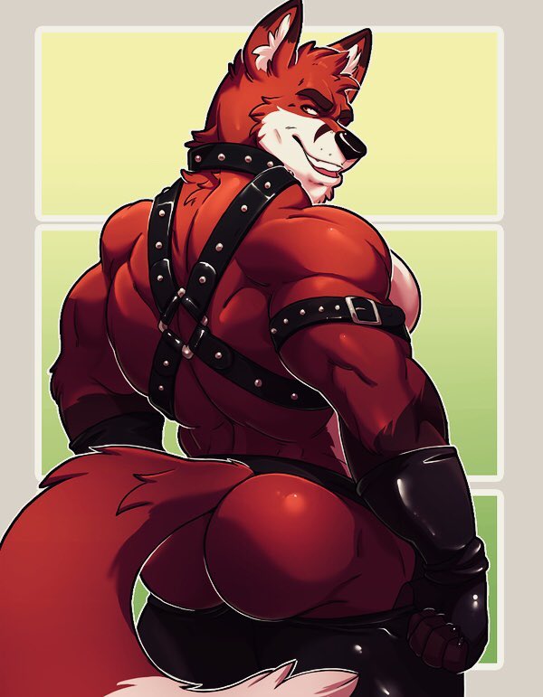 2020 anthro ass back_muscles big_muscles black_nose brown_body brown_fur canid canine clothing collar eyebrows fingerless_gloves fox fur gloves handwear harness knuxlight leather looking_at_viewer male male_only mammal multitoned_fur muscular muscular_male orange_body orange_fur pecs red_fox simple_background solo standing thick_eyebrows triceps white_body white_fur yellow_eyes