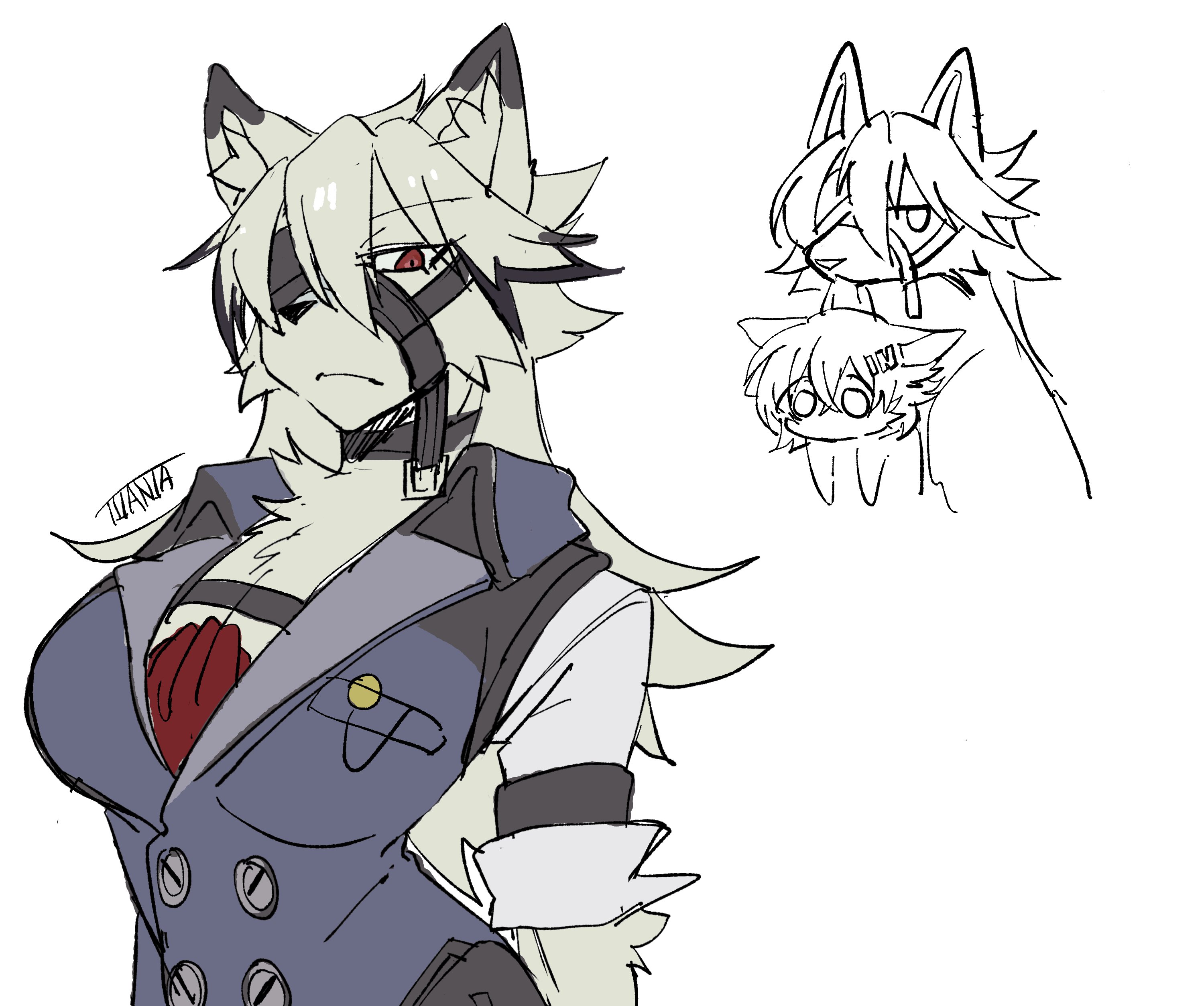 big breasts, breasts, cleavage, female, furry, genderswap, genderswap (mtf), huge breasts, rule 63, tagme, thick thighs, von lycaon, warningblackdog, wide hips, wolf, wolf ears, wolf girl, zenless zone zero