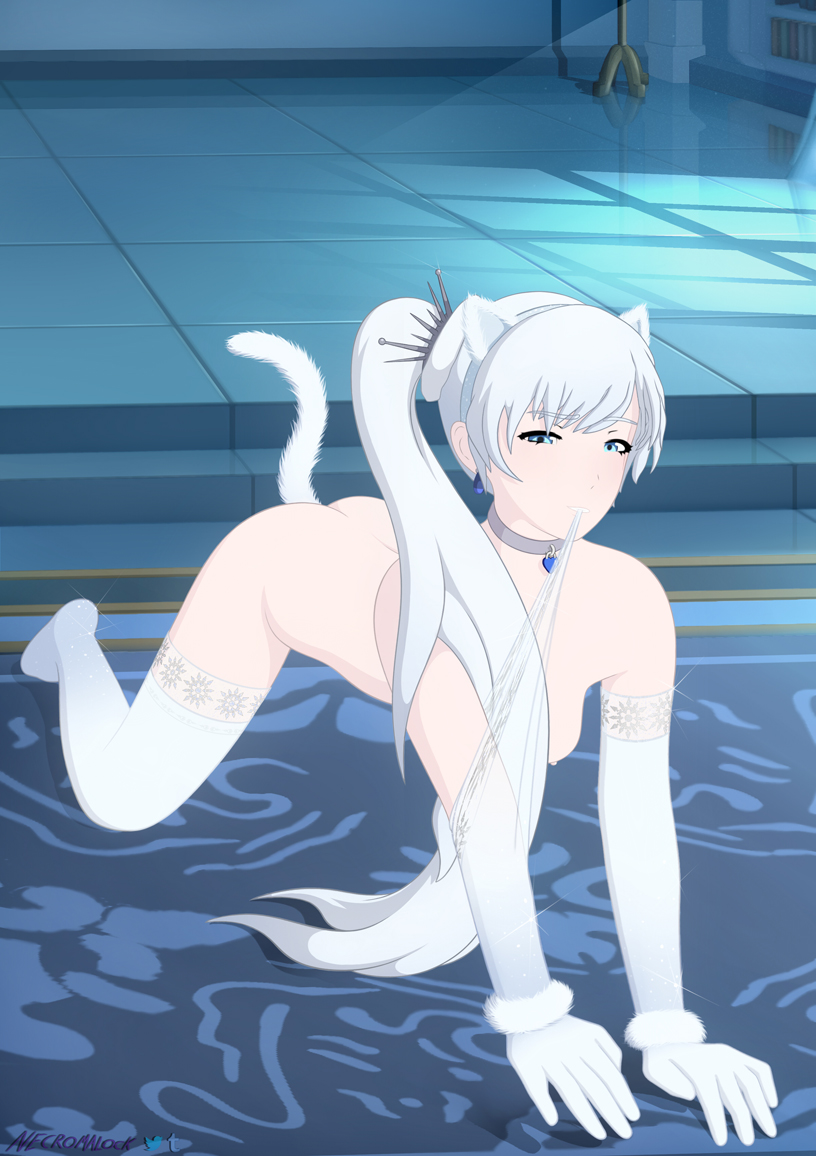 anal ass biting blue_eyes butt_crack buttplug buttplug_tail cat_ears costume crawling necromalock rwby seductive tagme tail_plug teasing weiss_schnee white_hair