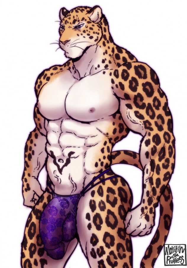 2018 anthro big_penis bulge crossdressing feline flower_clothing_pattern fur furry humanoid_penis ineffective_clothing leopard male male_only mammal maririn muscular muscular_male nipples nude penis purple_clothing solo testicles thick_penis thong tobias_(maririn) tobias_fretchman translucent