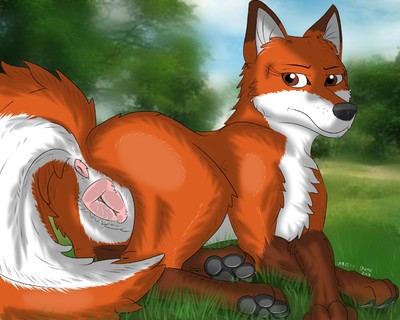 anatomically_correct animal_genitalia animal_pussy arcticdunx ass cainine canine canine_pussy female feral fox fur in_heat inviting looking_at_viewer low_res mammal orange_fur pawpads paws presenting presenting_hindquarters pussy raised_tail solo white_fur