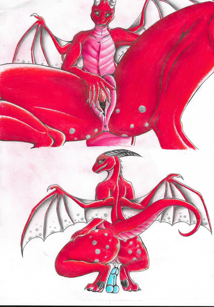 anthro dragon eve_softpaw female mallowchu orpbus scalie tagme wings