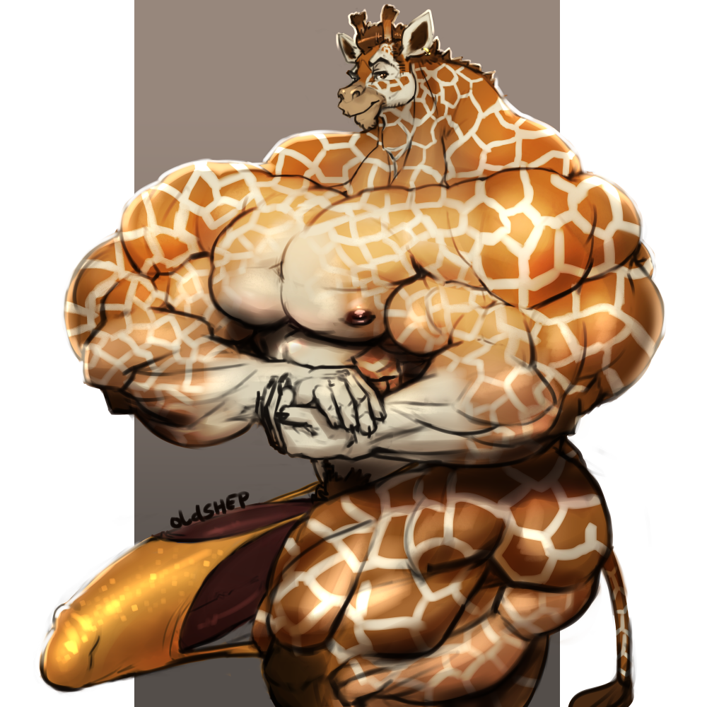 anthro bulge clothing giraffe half-erect humanoid_penis hyper hyper_muscles hyper_penis looking_at_viewer male male_only mammal muscular muscular_male oldshep pecs penis penis_outline small_head solo standing underwear