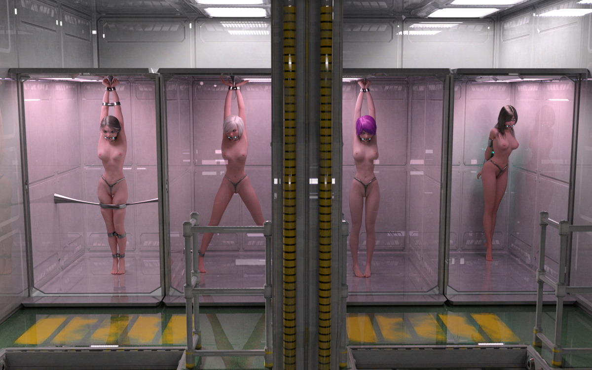 3d, abducted, arms above head, arms behind back, ball gag, barefoot, bondage, bound, breasts, female, femsub, gag, gagged, kidnapped, multiple females, multiple girls, multiple subs, nude, party wipe, science fiction, silenceyoursword, spaceship, tiptoes