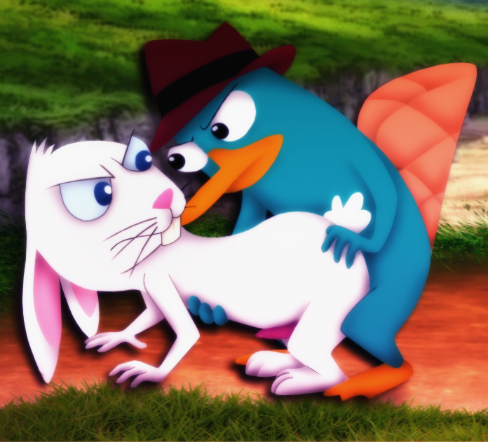 2boys amegared anal anal_sex anthro disney furry gay interspecies lagomorph male male_only mammal monotreme penetration penis perry_the_platypus phineas_and_ferb platypus rabbit tagme tapering_penis yaoi