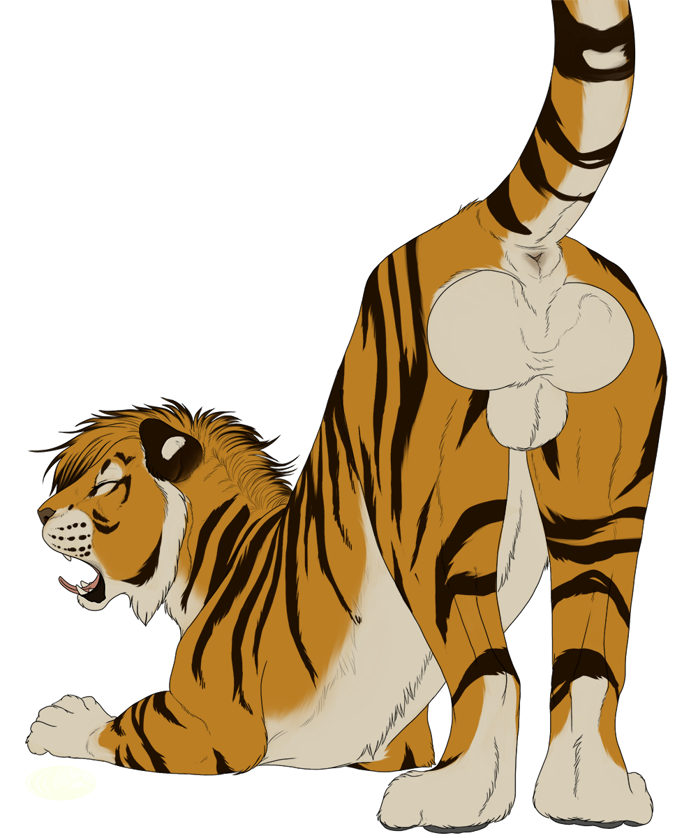 aliena-cordis animal_genitalia balls big_balls big_sheath feline feral fur male male_only mammal open_mouth tiger transparent_background yawn