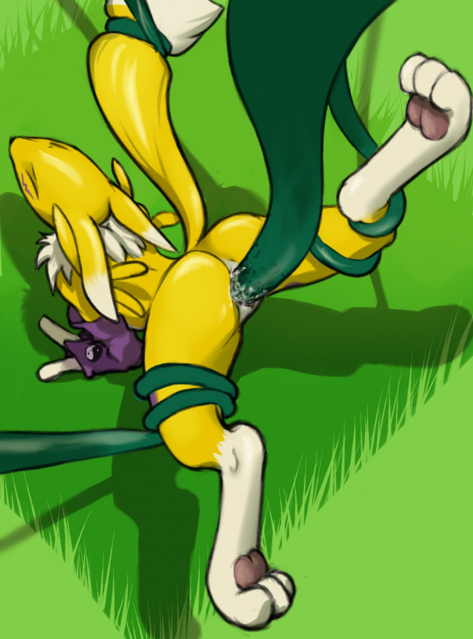 anthro canid canine digimon digimon_(species) dipstick_ears dipstick_tail female forced fur grass hi_res irollyouover mammal multicolored_ears multicolored_tail raised_tail rape renamon silenus spread_legs spreading tail_grab tentacle tentacle_rape tentacle_sex yellow_body yellow_fur