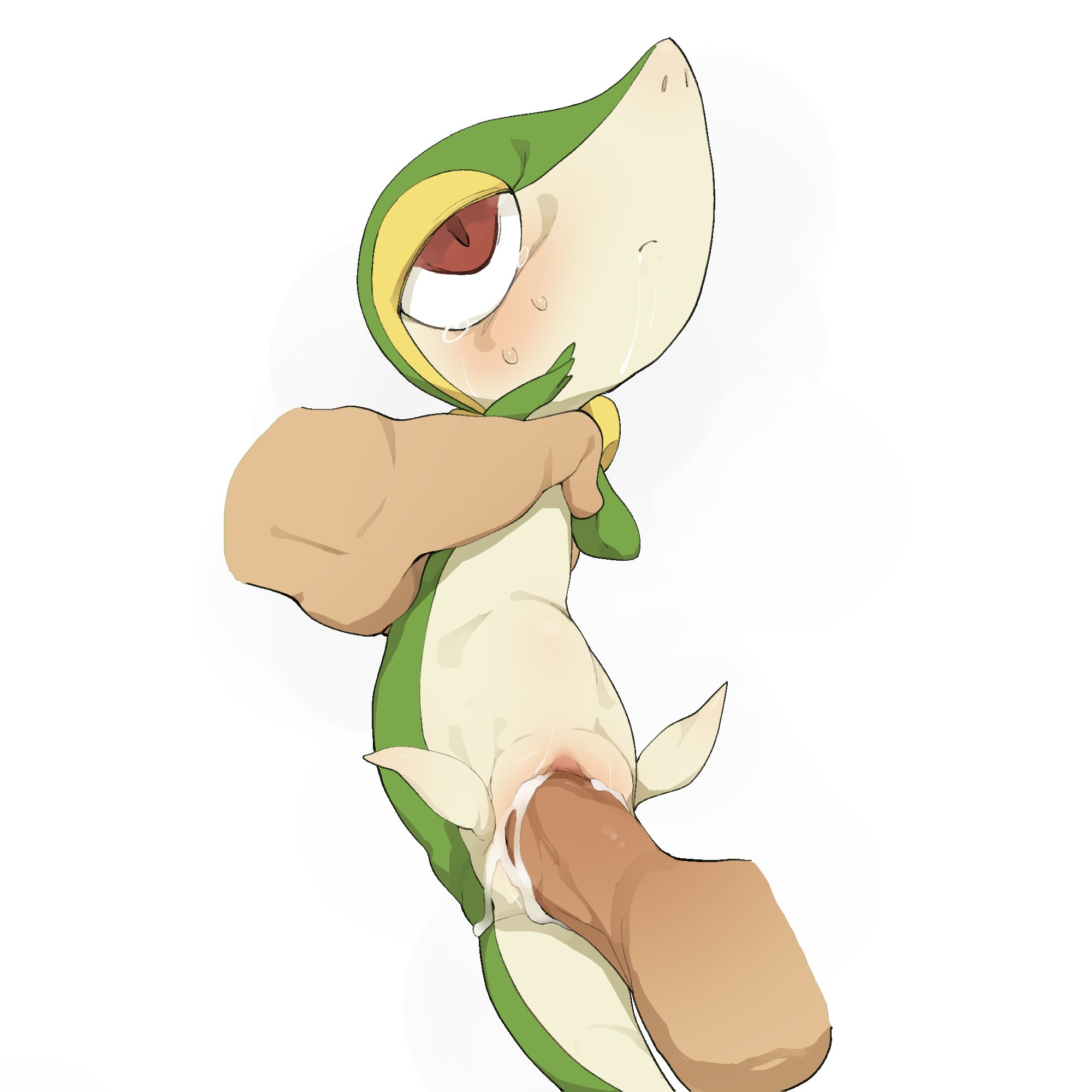 1girls, ahe gao, brown eyes, cum, cum in pussy, cum inside, female, feral, human on feral, interspecies, male, male human/female pokemon, male on feral, nintendo, penetration, penis, pokemon, pokemon (species), pokemon bw, pov, pussy, rape, size difference, snivy, spread legs, stomach bulge, tears, uncensored, vaginal penetration, youjomodoki