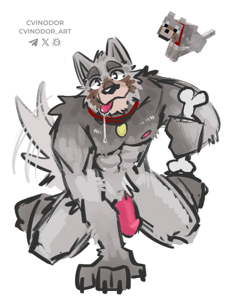 anthro, anthrofied, blush, canid, canine, collar, cvinodor, furry, male, male only, minecraft, muscular, penis, reference image, saliva, saliva string, saliva trail, simple background, sketch, solo, tail motion, tailwag, tongue, tongue out, watermark, wolf, wolf (minecraft)