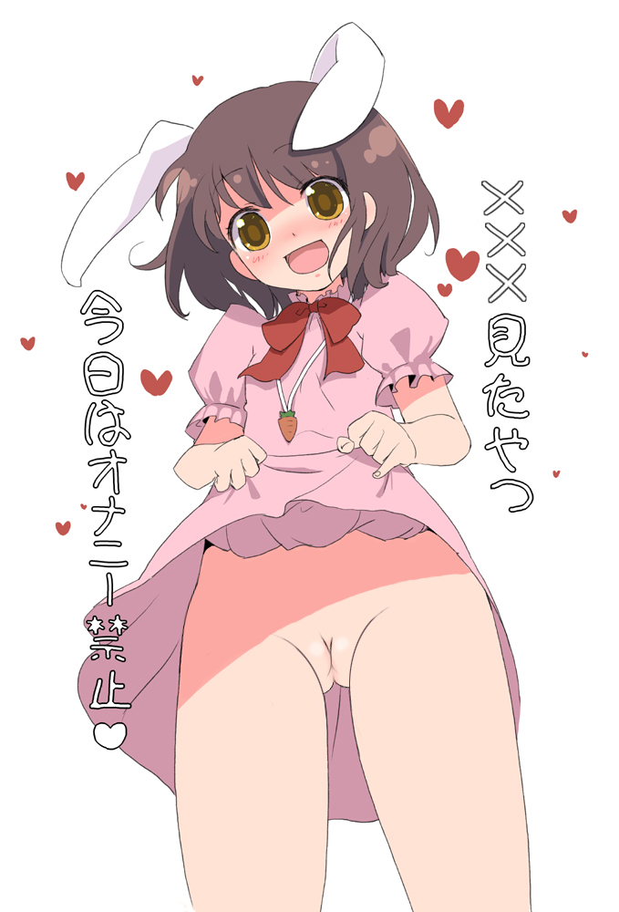 animal_ear blush brown_eyes brown_hair bunny_ear dress dress_lift itou_life no_panties photoshop pussy short_hair skirt skirt_lift solo taiki tewi_inaba touhou translated translation_request uncensored