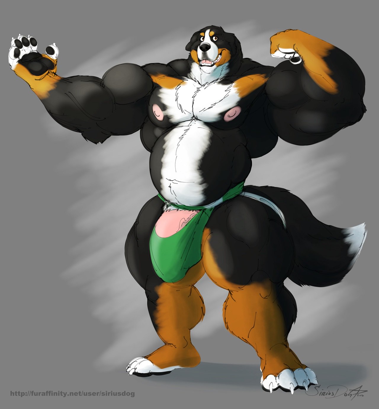 anthro banana_hammock biceps big_biceps bulge canine chest_tuft claws clothing dog flaccid flexing full_body humanoid_penis jockstrap looking_at_viewer male male_only mammal muscles muscular muscular_male muscular_thighs paw paws pecs penis penis_base siriusdog solo standing toe_claws underwear vein