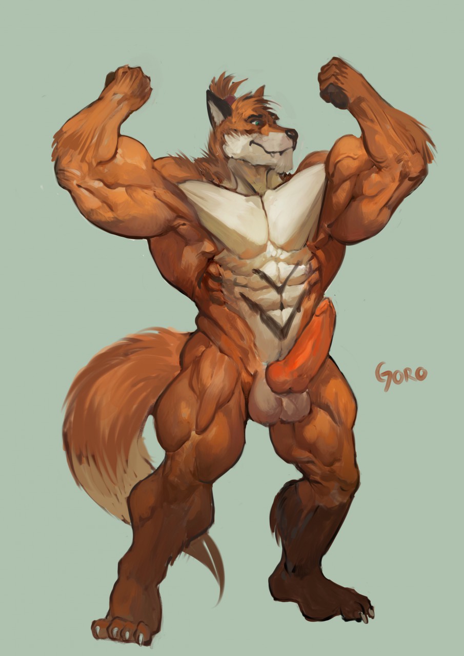 animal_genitalia animal_penis anthro balls canine canine_penis erection flexing fox goroguro knot male male_only mammal muscular muscular_male nude penis smile solo standing