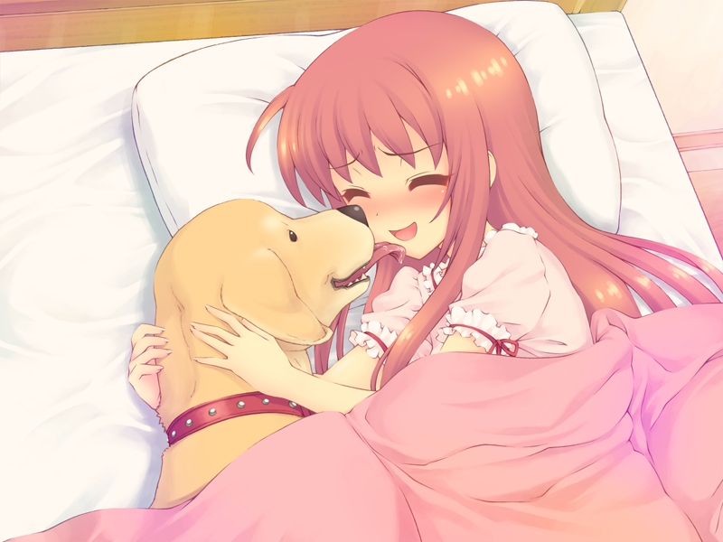 bed canine female licking okiyumi_kase one-lover pink_hair zoophilia