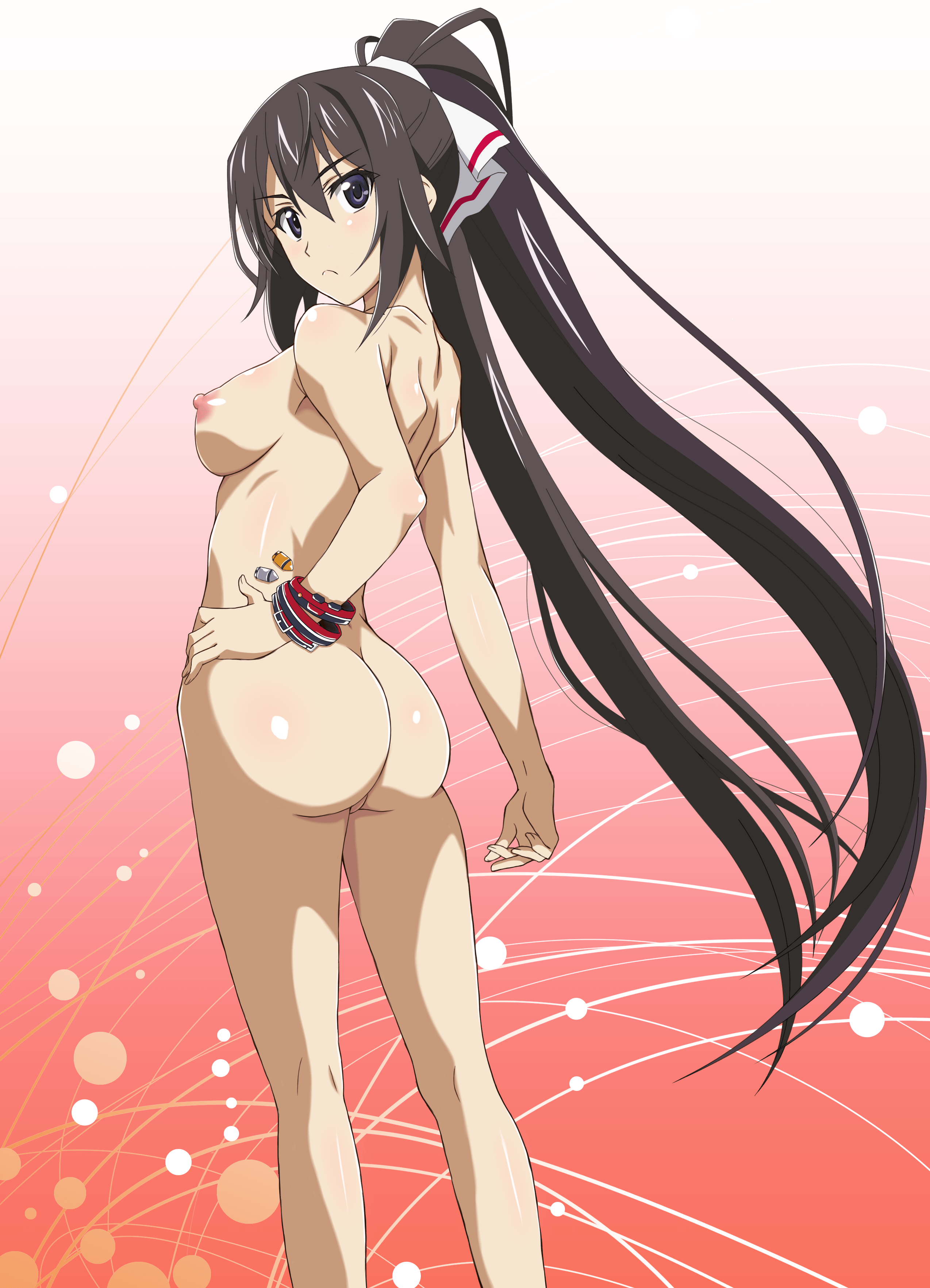 infinite stratos, shinonono houki, tagme