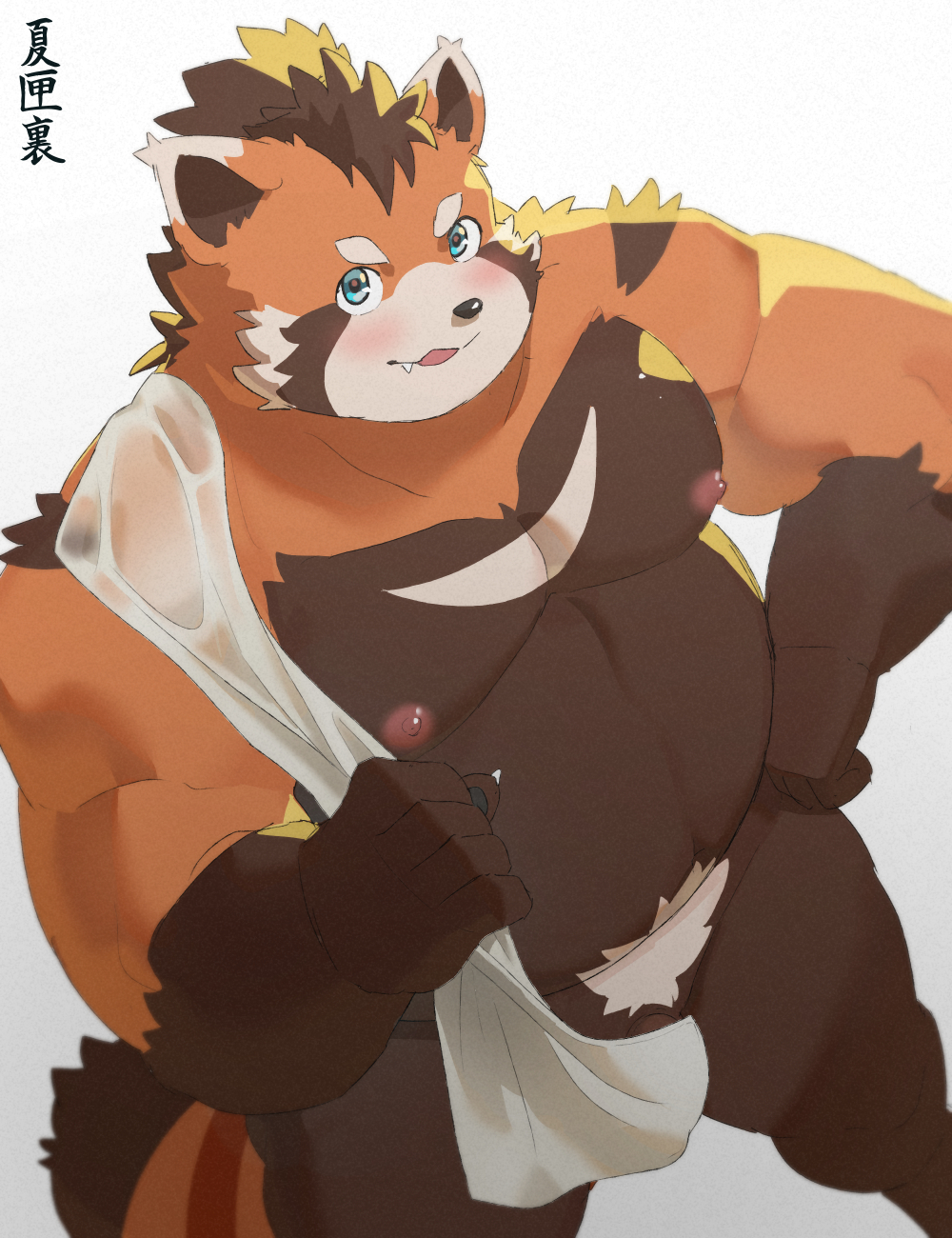 2024 ailurid anthro blush brown_body genitals hi_res kemono male mammal moobs musclegut muscular natsuhakoura nipples orange_body overweight overweight_male penis red_panda simple_background solo suruga_(tamacolle) tamacolle towel