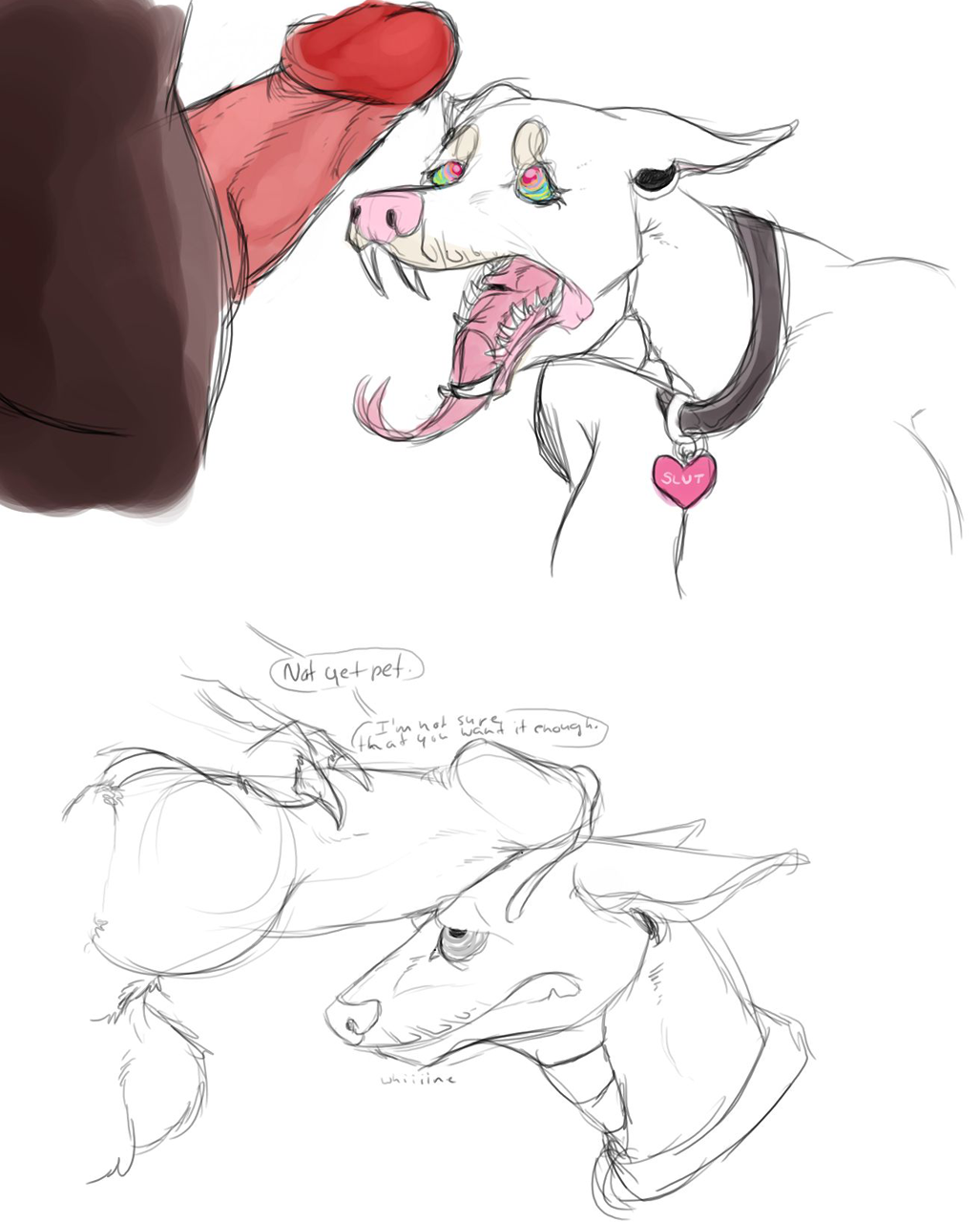 anthro ball_python balls begging canine canine collar doberman domination duo erection fangs female forked_tongue hybrid hypnosis kirk_(paint) knot mammal mind_control paint_(artist) penis precum speech_bubble submissive teasing tongue