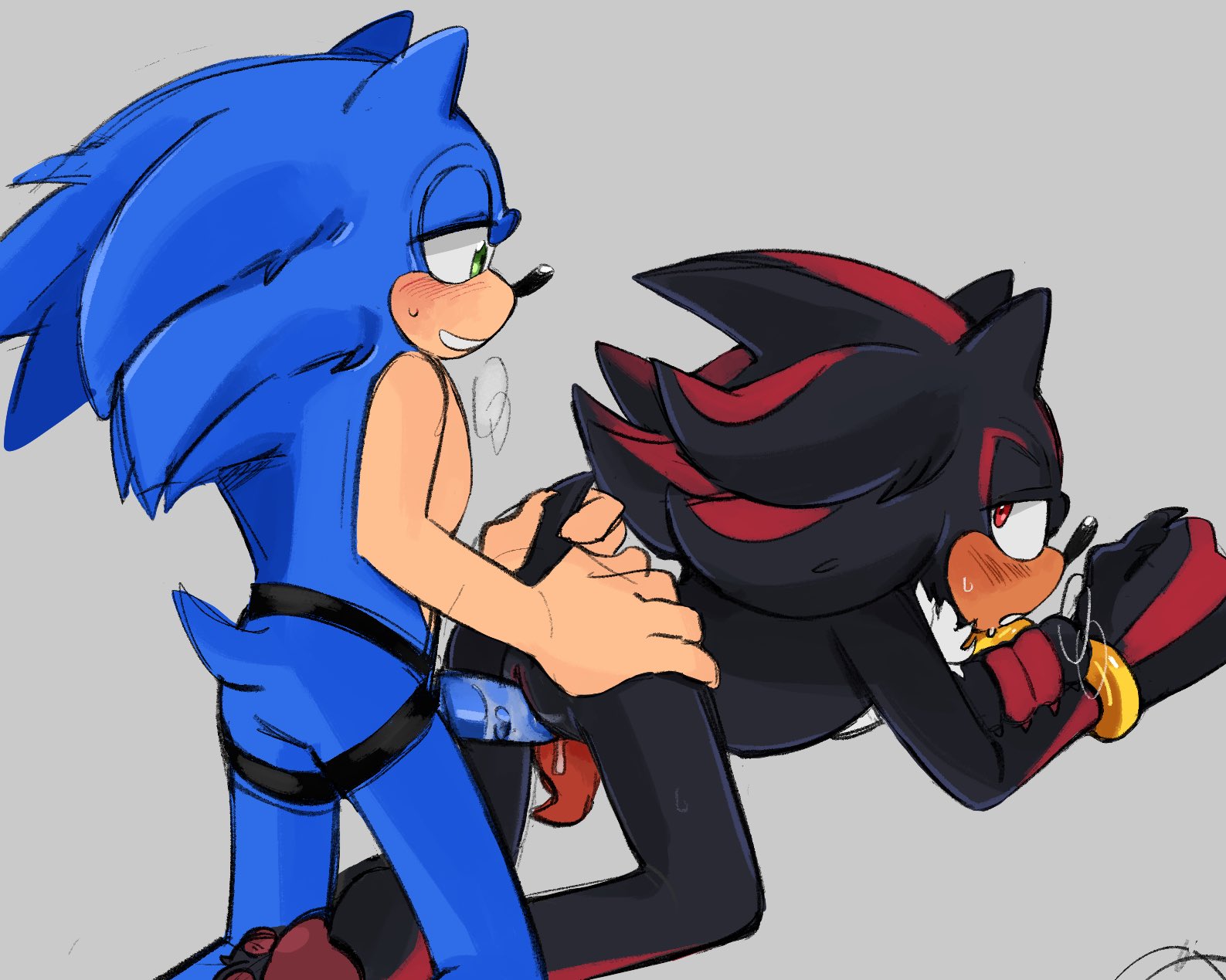 andromorph, andromorph penetrated, andromorph/andromorph, blush, cuntboy, cuntboy/cuntboy, doggy style, eye contact, intersex, pawpads, sega, shadow the hedgehog, sonadow, sonic (series), sonic the hedgehog, sonic the hedgehog (series), spicyfortunaz, strap-on, strapon, tail grab, tentacle genitalia