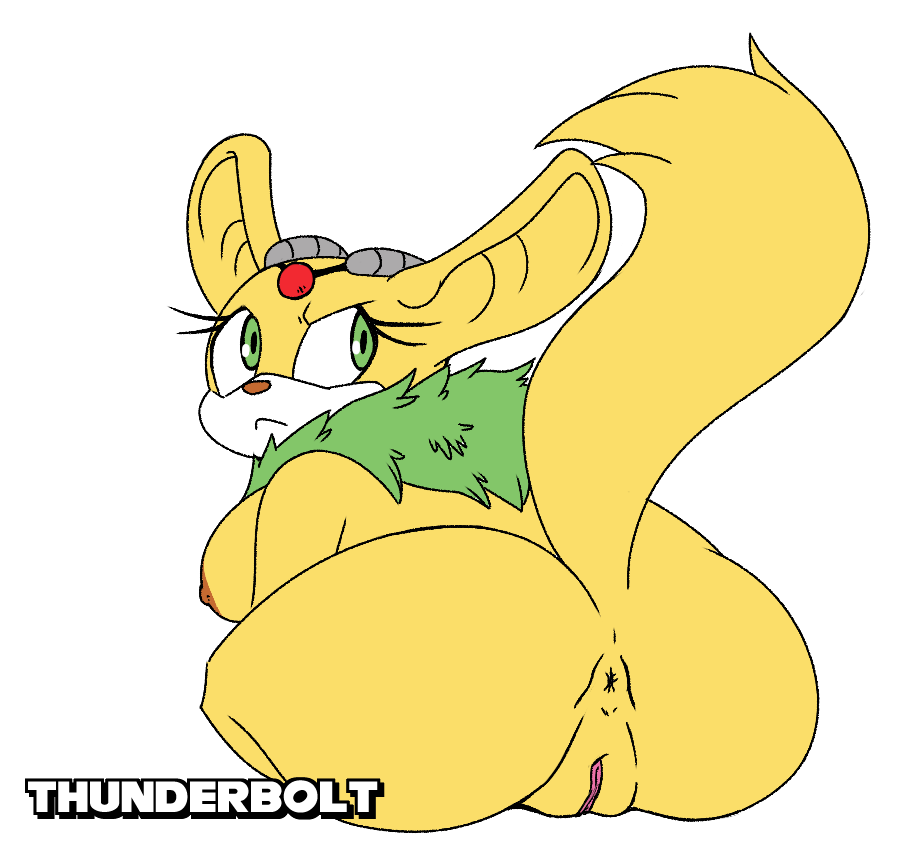 anus ass breasts leatherruffian looking_back nipples pussy sonic_(series) thunderbolt_the_chinchilla