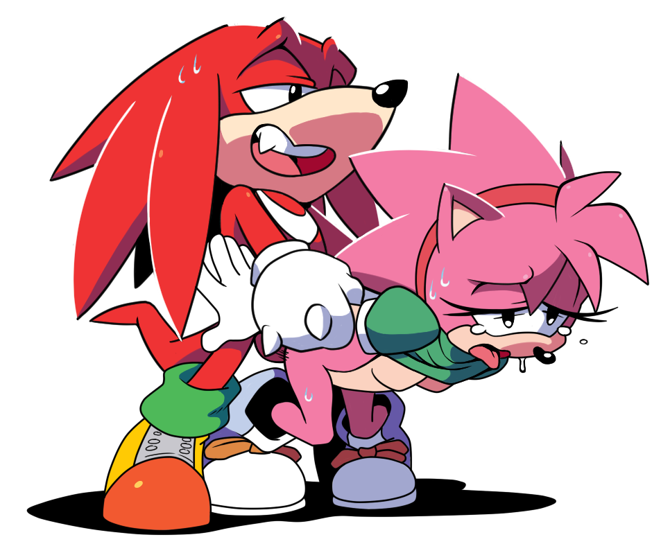 amy_rose balls bottomless breasts classic_amy_rose clothing exposed_torso female footwear from_behind handwear humanoid knuckles_the_echidna leatherruffian male open_mouth penetration rape sega shirt shirt_lift sonic_(series) sonic_cd sonic_the_hedgehog_(series) spread_legs tears vaginal_penetration