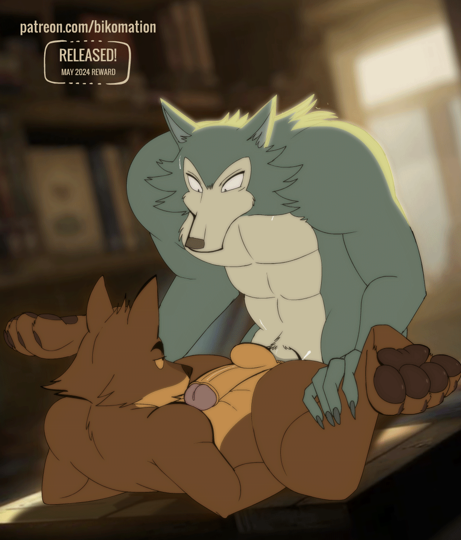2024, 2boys, 2d, 2d animation, 2guys, 5 fingers, anal, anal sex, animated, animation, anthro, anthro on anthro, anthro penetrated, anthro penetrating, anthro penetrating anthro, ass, backlighting, balls, beastars, biceps, bikomation, black eyes, black nose, bodily fluids, body hair, bouncing, bouncing ass, bouncing balls, bouncing butt, bouncing penis, breath, breathing, brown body, brown fur, brown pawpads, brown paws, canid, canine, canis, cheek tuft, chest grab, chest hair, claws, cock in ass, countershading, crossover, cum, cum in ass, cum leaking out of anus, cum splash, detailed background, digital media (artwork), dreamworks, duo, embrace, eye contact, eyebrows, eyes wide open, facial expressions, facial tuft, feet, feet focus, feet up, fetish, fingers, fluffy, fluffy tail, foot fetish, foot focus, frame by frame, fur, furry, gay, genitals, good boy, grey body, grey fur, half-closed eyes, hand on ass, hand on butt, hand on leg, hug, intraspecies, leg grab, legoshi (beastars), legs in air, legs up, light, looking at another, looking at partner, looking pleasured, male, male only, male penetrated, male penetrating, male penetrating male, male/male, mammal, mr. wolf (the bad guys), multicolored body, multicolored fur, muscles, muscular, muscular male, narrowed eyes, netflix, nude, nude male, on table, open mouth, pawpads, paws, penetration, penile, penile penetration, penis, penis in anus, penis in ass, pleasure, pleasure face, pleasured, precum, precum on penis, pubes, pubic hair, raised leg, raised tail, rape face, rumbling stomach, sex, short playtime, spread anus, spread ass, spread butt, spread fingers, spread legs, spread toes, spreading, sweat, sweat drip, sweat drops, sweatdrop, sweating, sweaty, sweaty body, testicles, the bad guys, thick eyebrows, thick penis, throbbing, throbbing balls, throbbing penis, toe claws, toes, tuft, two-tone body, two-tone fur, wet, wide eyed, wide spread legs, wolf, yellow sclera