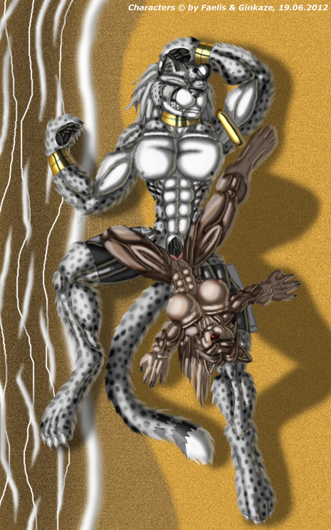 abs anthro athletic beach bodybuilding breasts cheetah cock dong faelis feline ginkaze gold muscle muscles muscular pecs penis sex silver yiff