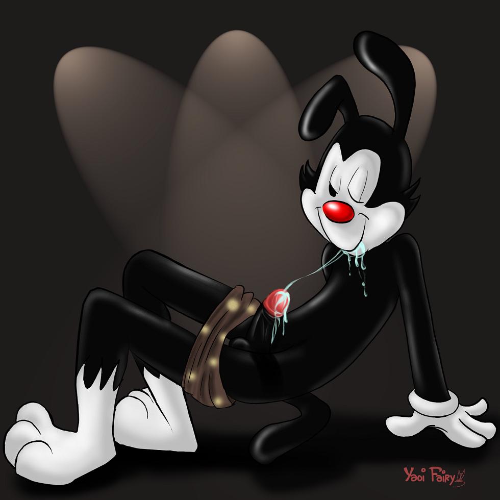 animaniacs autofellatio cum fellatio furry furry_only gay male male_only oral pantless yakko_warner yaoi_fairy