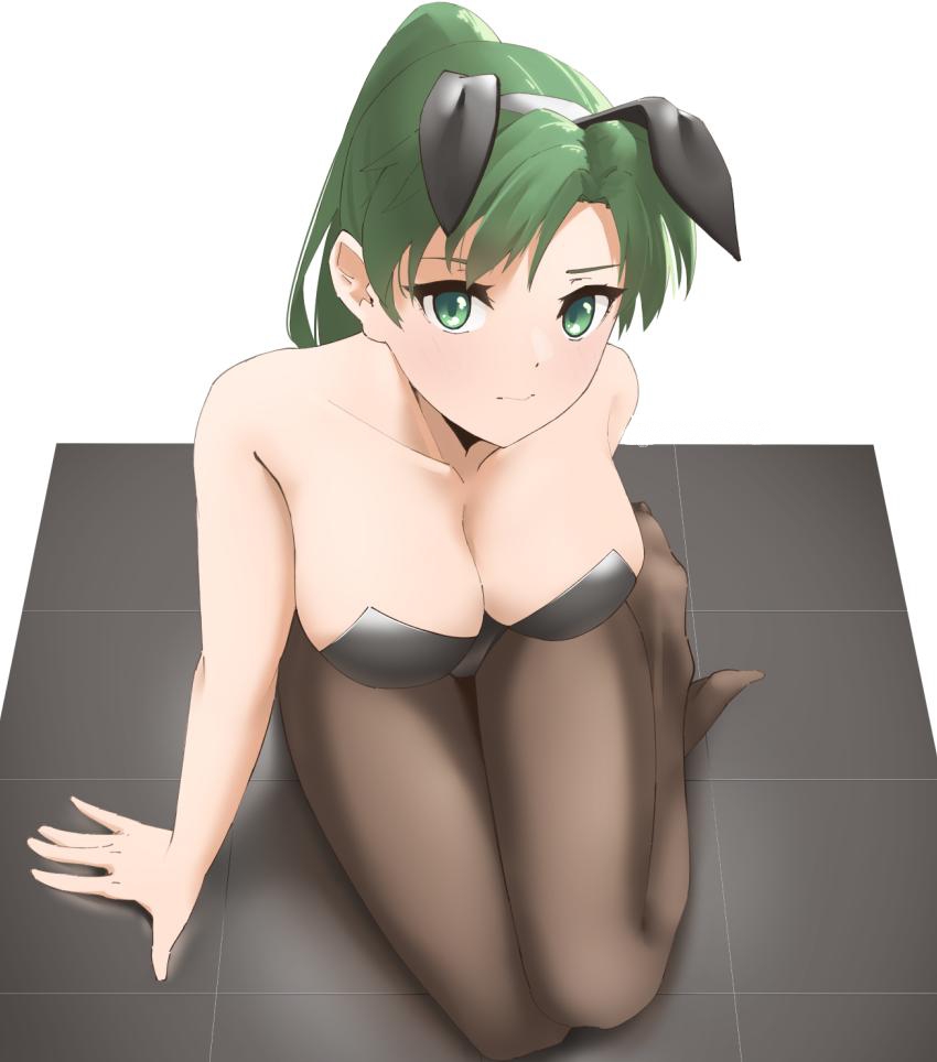 bunnysuit, female, fire emblem, fire emblem: the blazing blade, green eyes, green hair, lyn (fire emblem), lyndis (fire emblem), skeptycally, tagme, white background