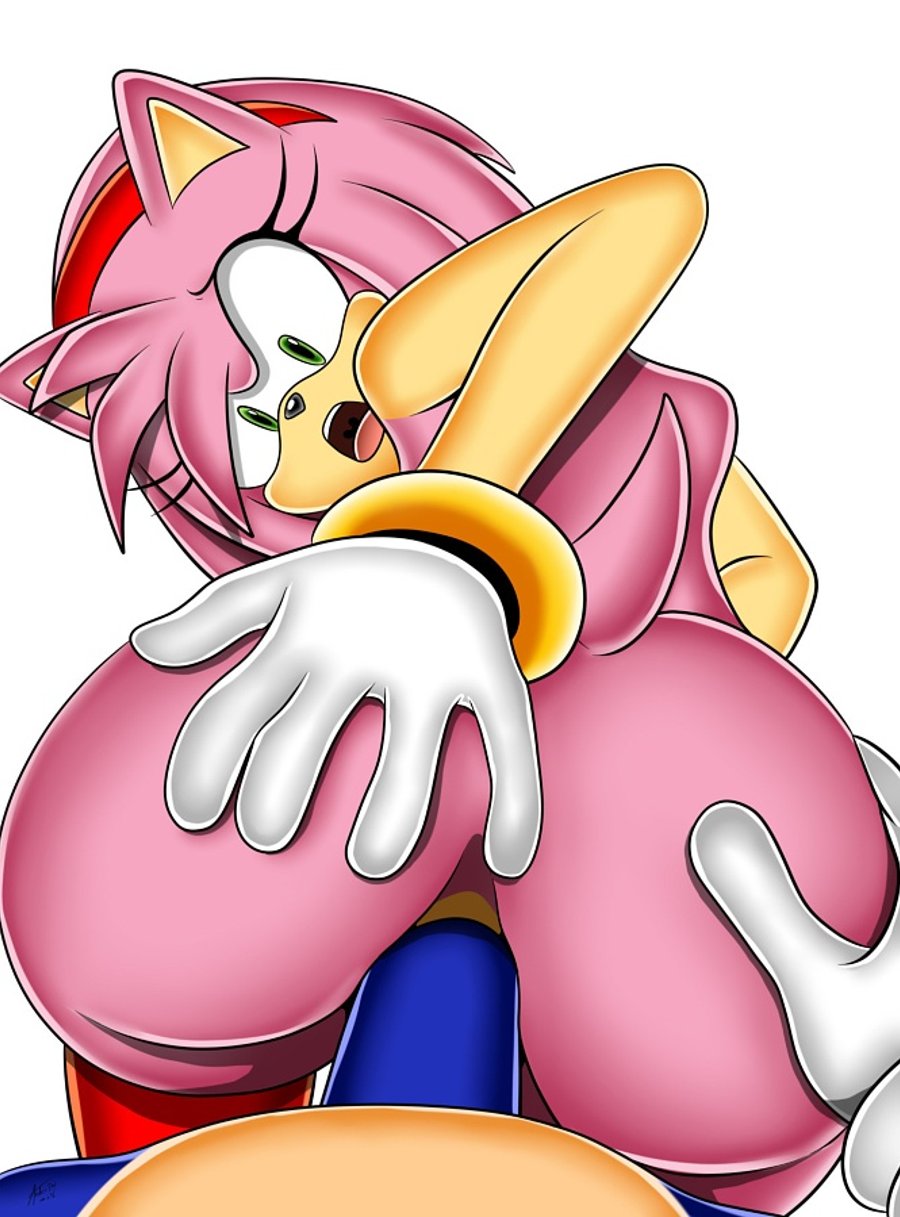 amy rose, anthro, ass, blue fur, female, fur, furry, hedgehog, male, penis, pink fur, pussy, sega, sex, sonic (series), sonic the hedgehog, sonic the hedgehog (series)