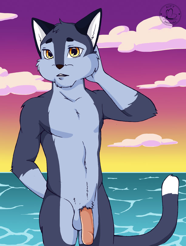 anthro beach black_fur domestic_cat felid feline felis flaccid fur humanoid_penis kittmouri male mammal penis seaside sunset