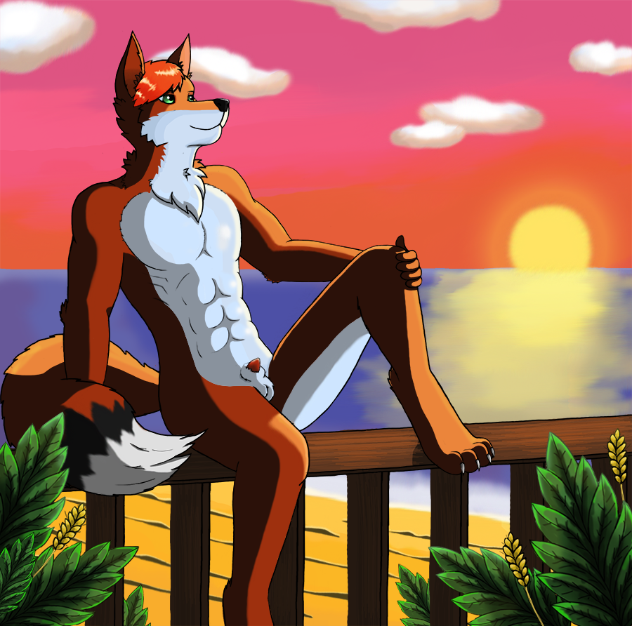 2019 anthro balls beach canid canine canis cloud day fluffy fox fur guffs hair hybrid male male_only mammal muscular nude outside penis plant sea seaside sky smile solo sun sunset water white_fur wolf