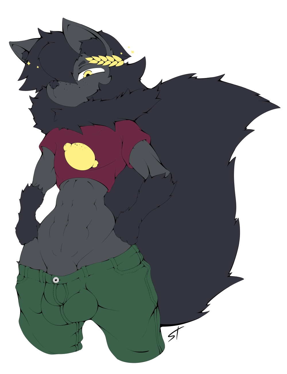 2019 abs anthro balls biceps bulge canid canine clothed clothing crop_top fluf fur hair invalid_tag lemon male male_only mammal midriff pants penis shirt solo sparkles standing standing_tough wide_hips yellow_eyes