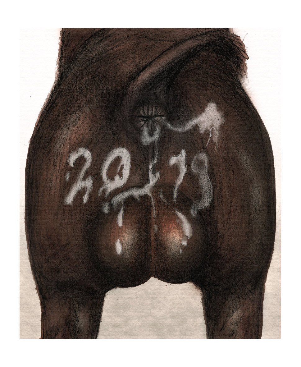 2019 anus ass backsack balls big_balls border brown_balls brown_fur brown_tail butt_shot colored cum cum_on_balls cum_on_butt darkmare faceless_male feral fur gay male mammal presenting presenting_anus rear_view simple_background solo suid suina sus_(pig) traditional_media_(artwork) white_background white_border wild_boar yaoi