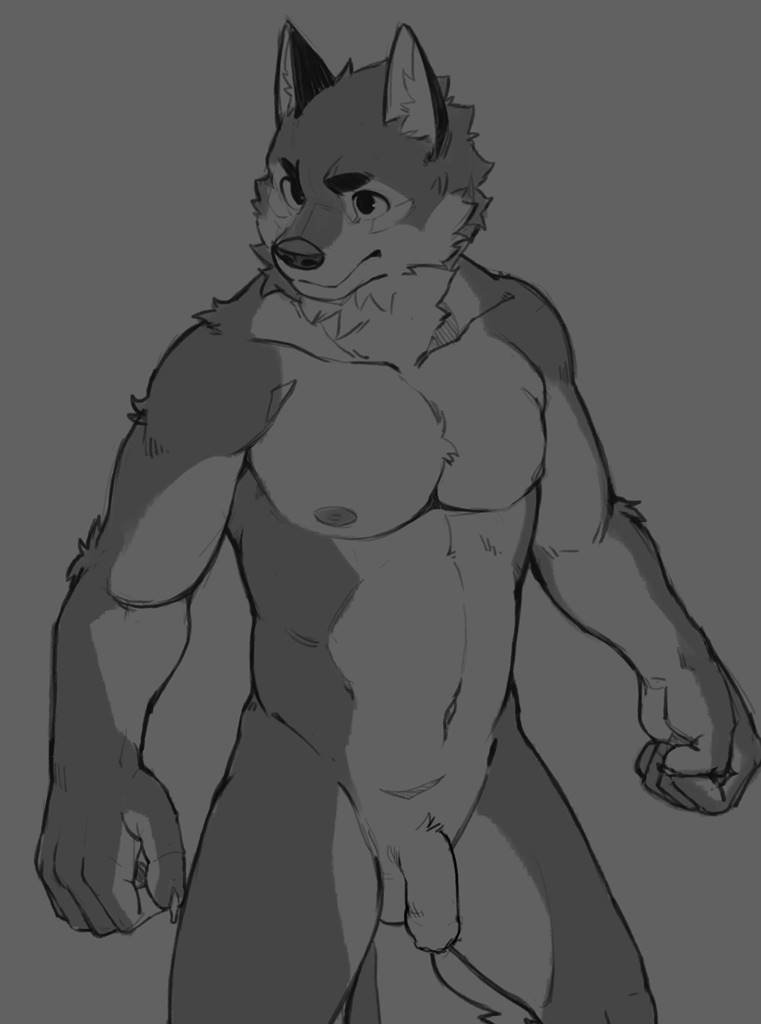 2019 5_fingers anthro athletic canid canine canis chest_tuft clenched_fists enokorogusa2 eyebrows flaccid grey_background humanoid_penis male mammal monochrome navel nipples nude penis simple_background sketch solo standing tuft wolf