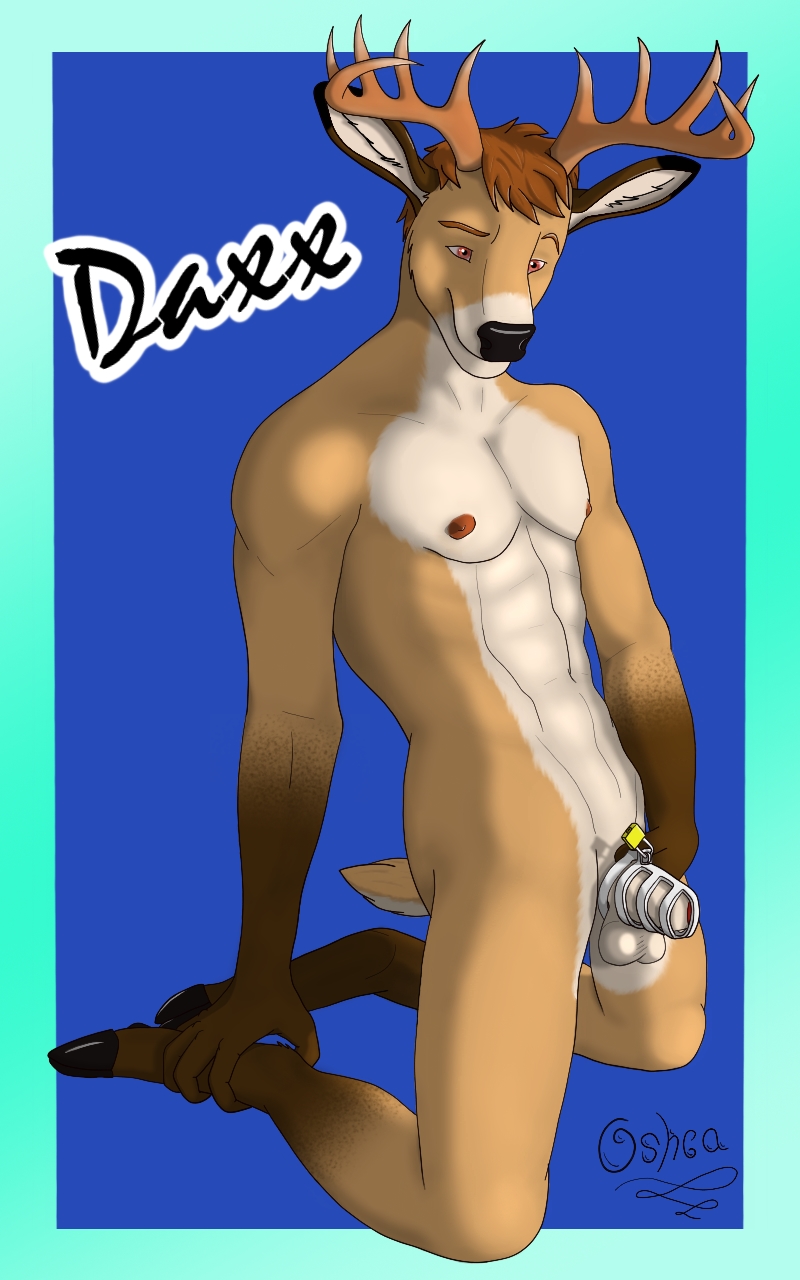 anthro antlers balls brown_hair cervid cervine chastity chastity_cage daxx_(dkmt12) hair horn kneeling male mammal navel nipples oshca penis solo