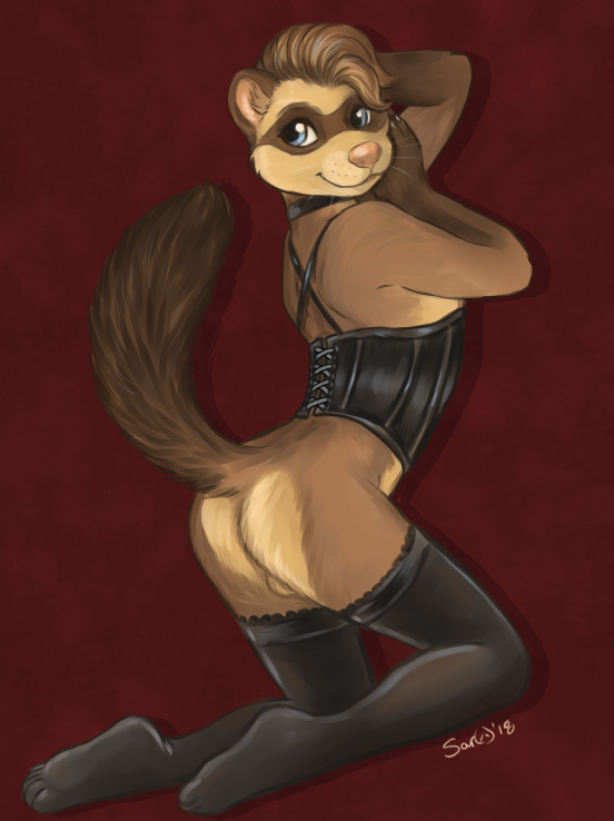 2018 anthro backsack balls barnaby_kane blue_eyes butt_heart caribou_(artist) clothed clothing collar corset crossdressing ferret lace legwear lingerie looking_back male male_only mammal mustelid pink_nose pinup pose raised_tail red_background simple_background thigh_highs whiskers