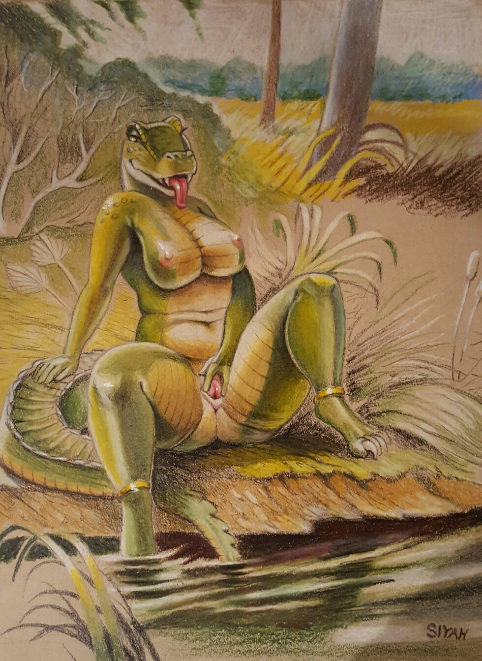 alligator breasts crocodilian delfina female looking_at_viewer outside pussy reptile scalie siyah slightly_chubby smile solo spread_legs spread_pussy spreading thick_thighs tongue traditional_media_(artwork) water