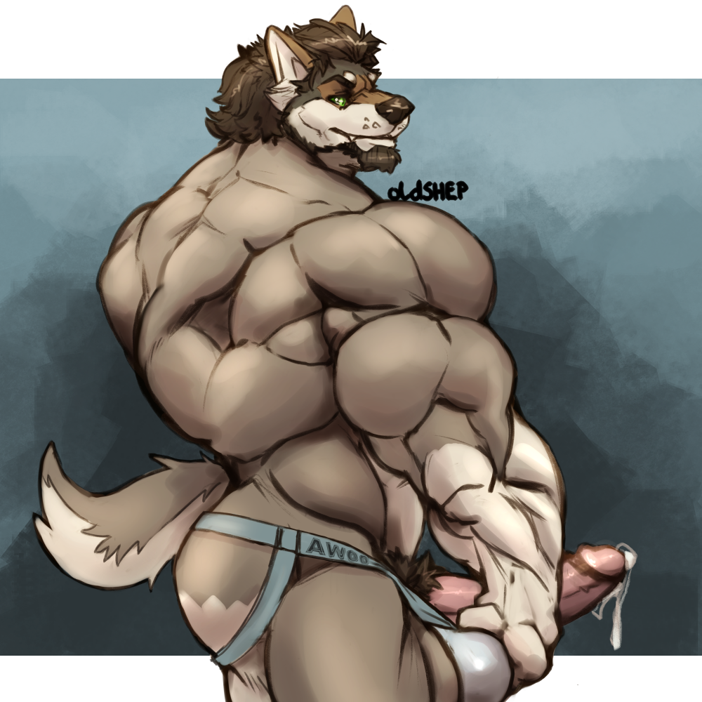 anthro balls beard bulge canid canine clothed clothing erection facial_hair george_(yuri)_kuznetsov huge_muscles humanoid_penis jockstrap looking_at_viewer male male_only mammal muscular muscular_male oldshep penis precum pubes smile solo standing topless underwear