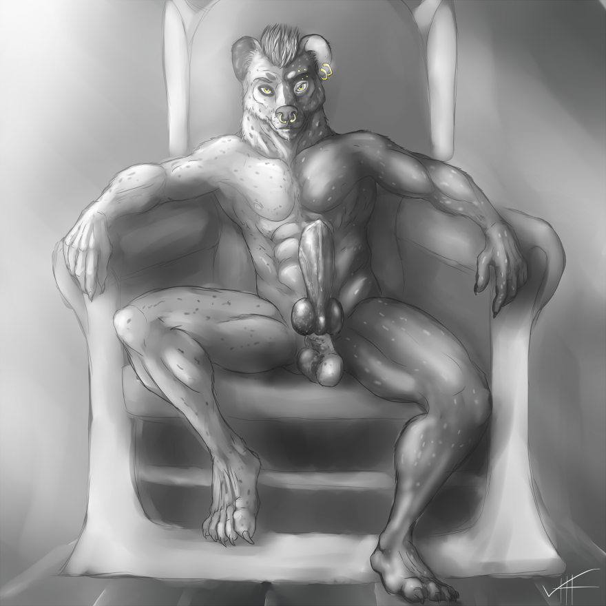 animal_genitalia anthro balls chair ear_piercing ear_ring facial_piercing hyaenid knot looking_at_viewer male male_only mammal nose_piercing nose_ring nude otter_grafitsnake penis piercing sheath sitting solo throne