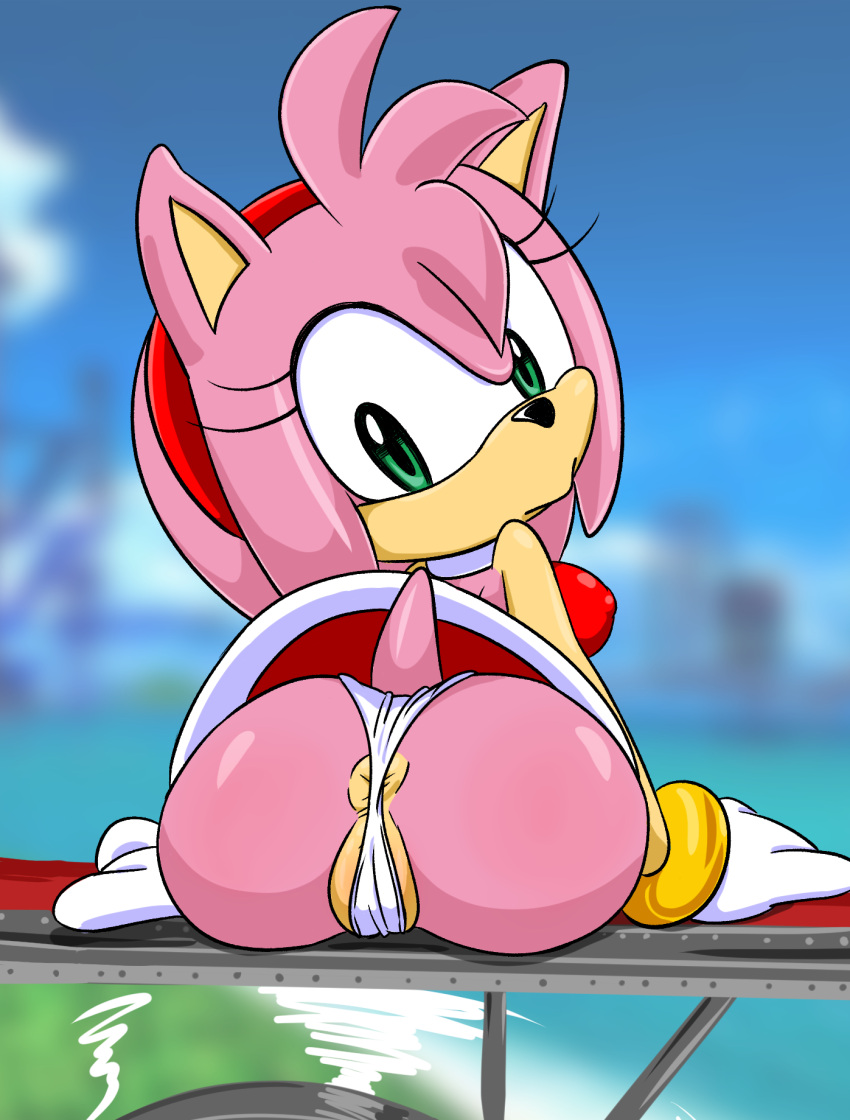 amy rose, artist request, ass, big ass, butt, female, looking at viewer, panties, pussy, sega, sonic (series), upskirt
