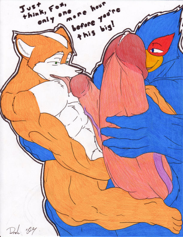 anthro color drakemohkami erection falco_lombardi fox fox_mccloud fur furry furry_only interspecies male male_only multiple_males muscular no_humans nude orange_fur penis pheasant star_fox white_fur yaoi