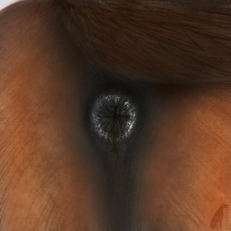 2019 ambiguous_gender anatomically_correct anatomically_correct_anus anus ass black_anus brown_fur close-up darkmare dirty equid equine equine_anus feces feral fur horse mammal puffy_anus solo