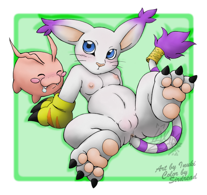 1girls baby baby_digimon color digimon digimon_(species) female fur furry gatomon interspecies sexless tokomon white_fur