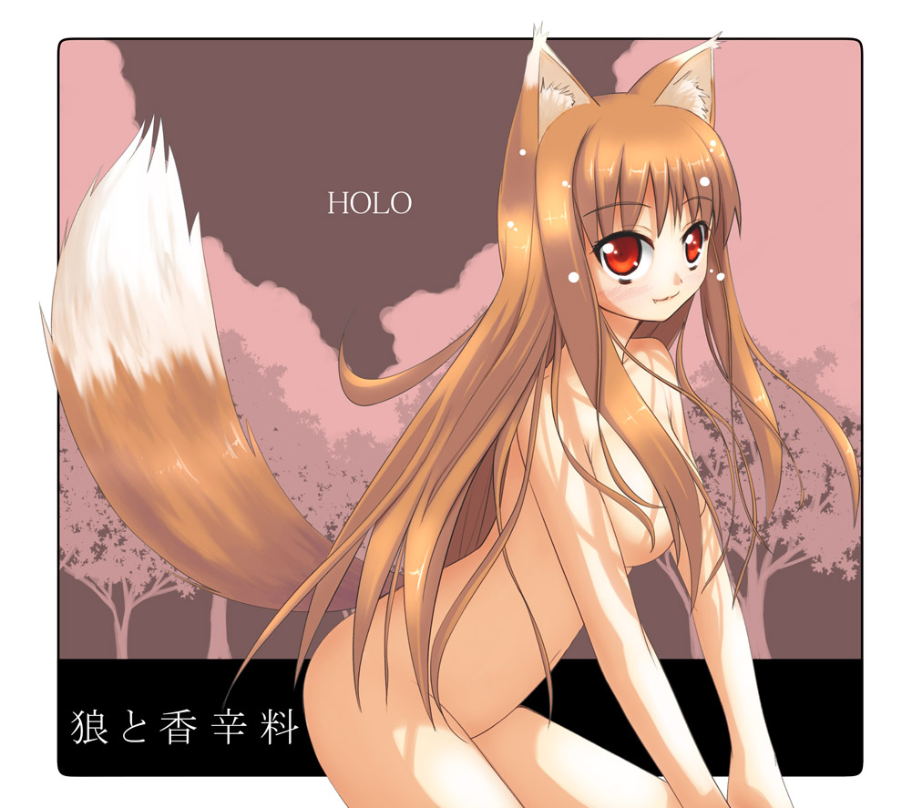 1girls akino_sora animal_ears blush brown_hair completely_nude completely_nude_female cute_fang holo long_hair medium_breasts night nude nude_female nudist outdoors outside red_eyes spice_and_wolf tail wolf_ears